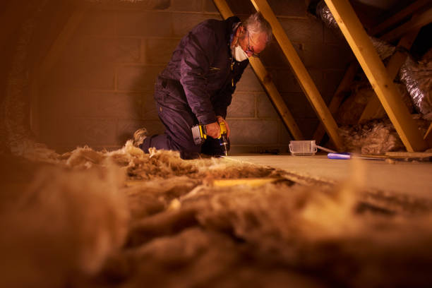 Trusted Hebron, KY Insulation Services Experts